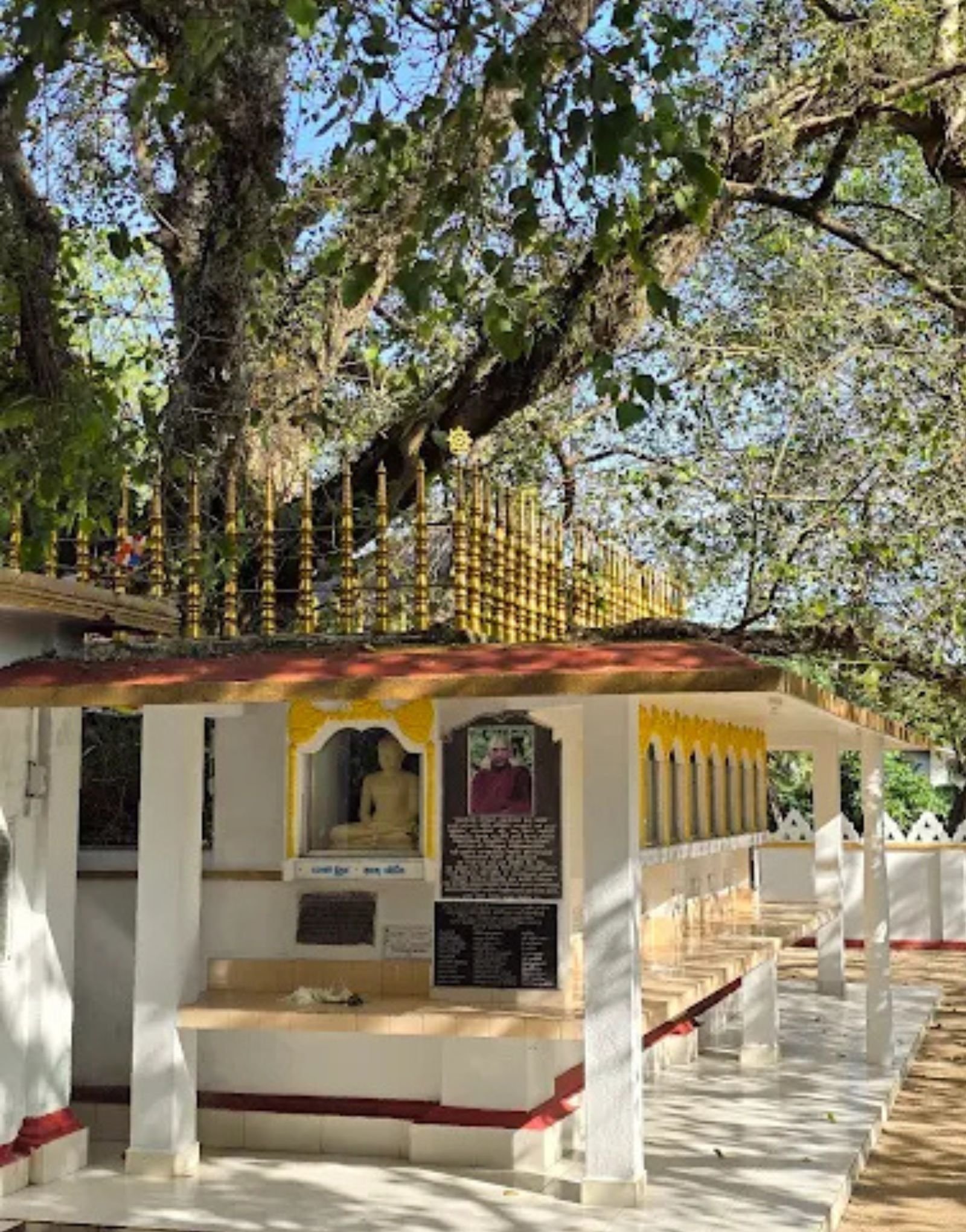 Untitled design - 2025-10-07T153920.460