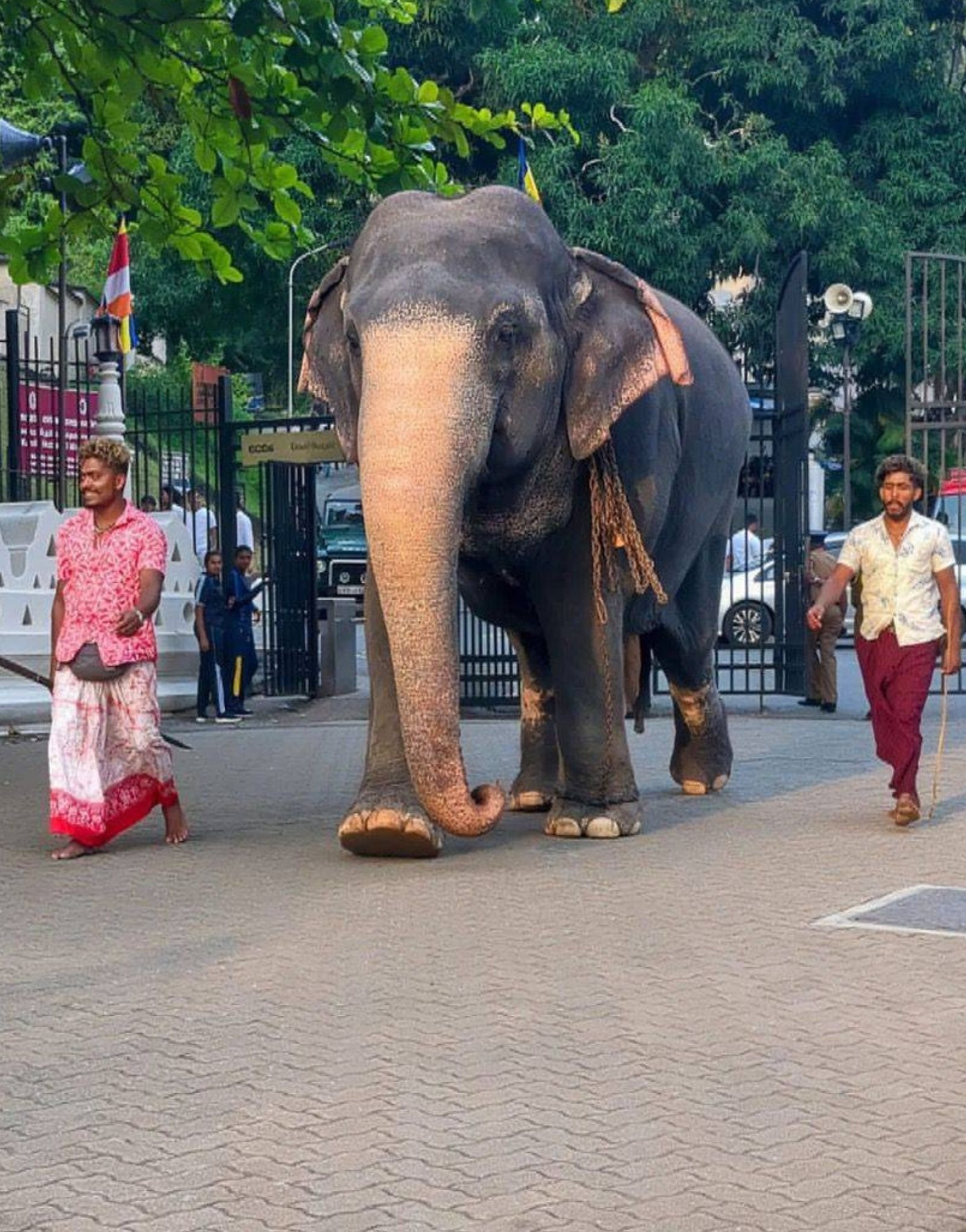 Untitled design - 2025-10-07T154017.936